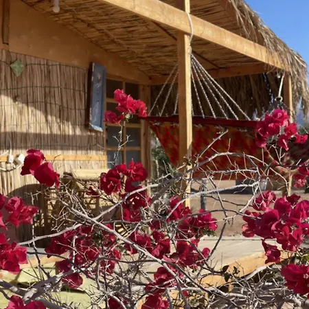 Alwaha Camp Hotel Nuweiba Exterior photo
