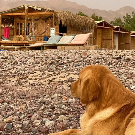 Alwaha Camp Hotel Nuweiba Exterior photo