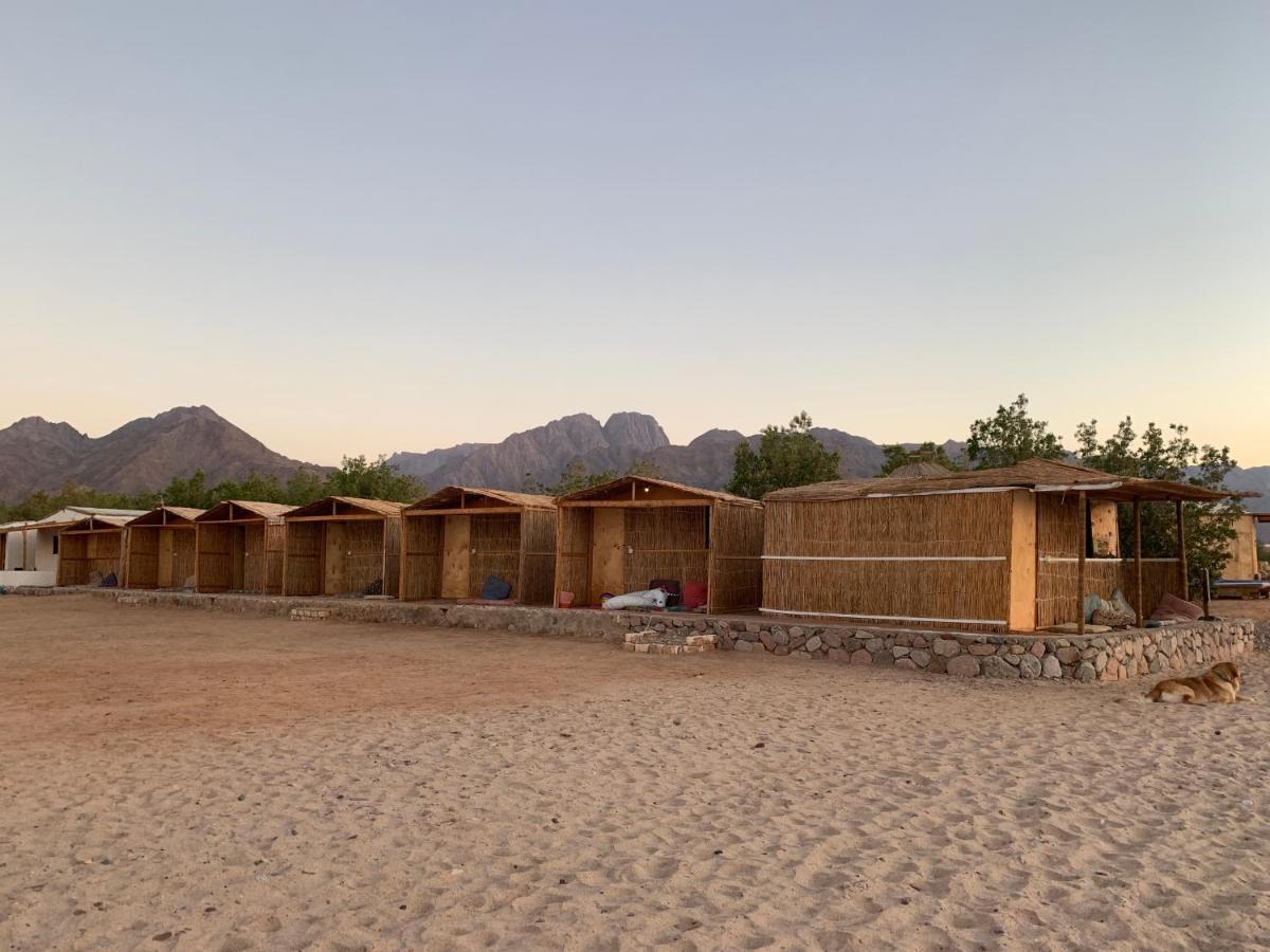 Alwaha Camp אתר קמפינג