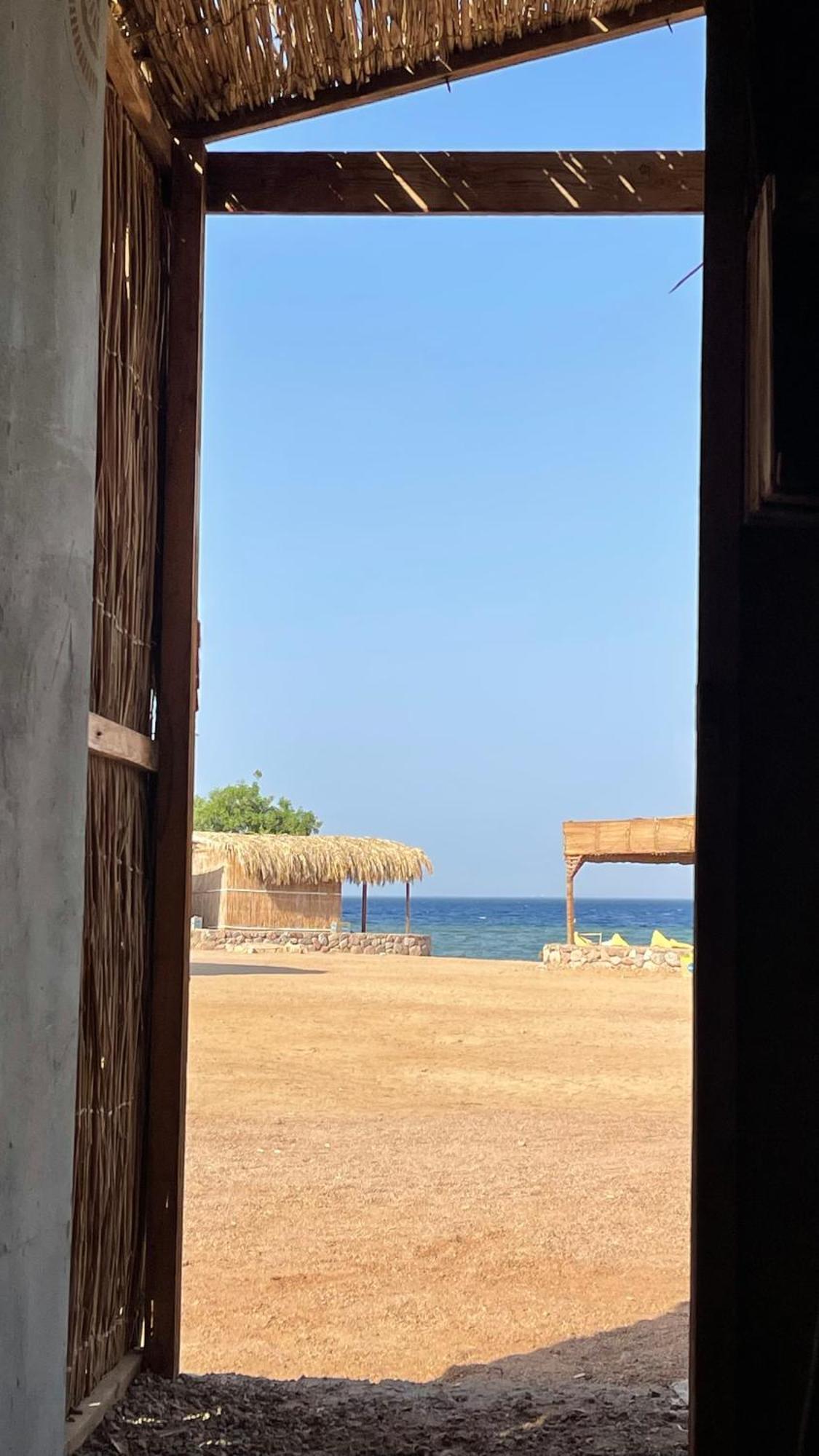 Alwaha Camp אתר קמפינג